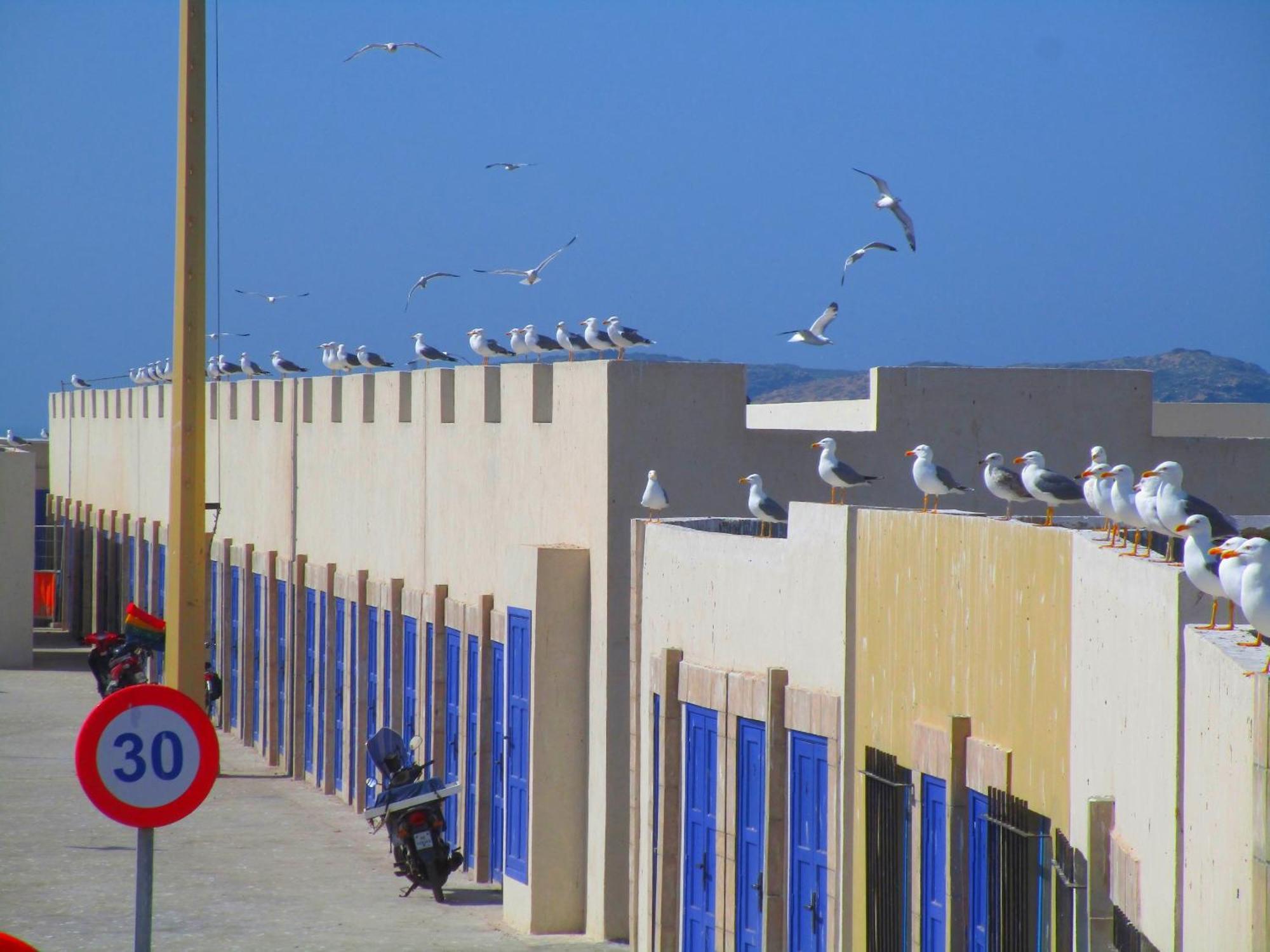 Ferienwohnung Casa Mogador Essaouira Exterior foto
